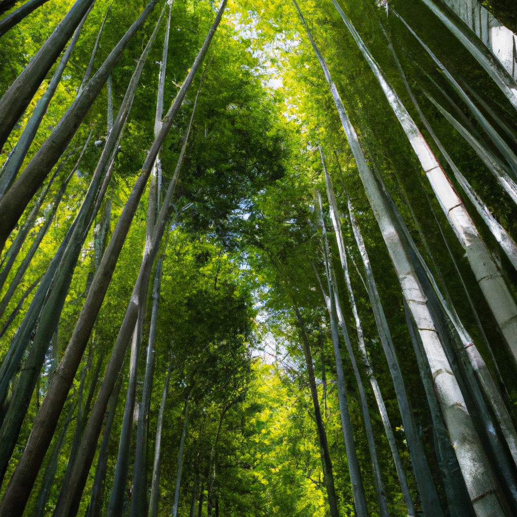 mustvisit - serene bamboo forest in Arashiyama, Kyoto