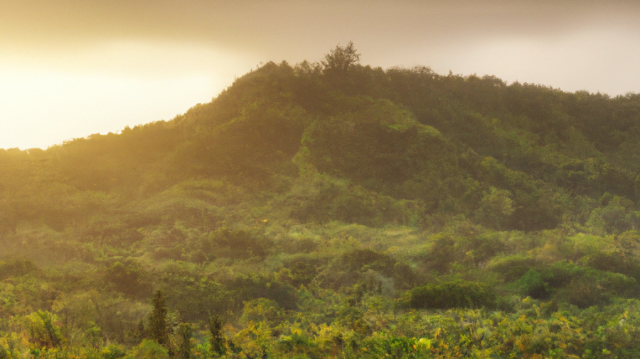 breathtaking mountain landscape with winding trails and colorful wildflowers, majestic waterfall cascading into a crystal-clear pool, serene beach at sunset with palm trees and gentle waves