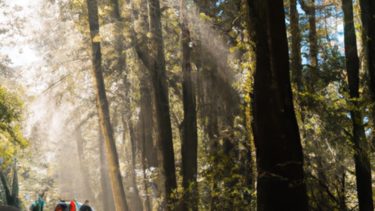A group of hikers trekking through a lush forest, with sun rays filtering through the trees, creating a magical atmosphere